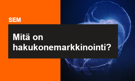 Mitä on hakukonemarkkinointi